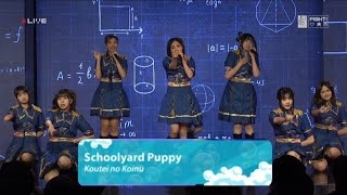 Schoolyard puppy - JKT48 