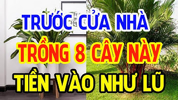 Nghèo Cỡ Nào Cũng Đổi Đời Giàu Nhanh Nhờ Trồng 8 Cây Này Quanh Nhà, Tiền Bạc Kéo Vào Ầm Ầm