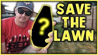 Lawn Drought Stress // How to NOT Fix your LAWN PROBLEMS