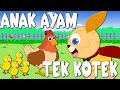 Lagu Kanak Kanak Bahasa Melayu | Tek Kotek Kotek | Anak Ayam | Chick Rhyme