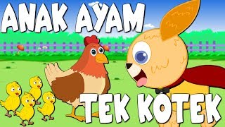 Lagu Kanak Kanak Bahasa Melayu | Tek Kotek Kotek | Anak Ayam | Chick Rhyme