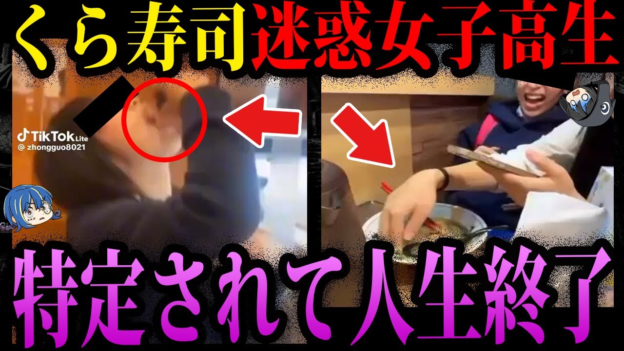 【ゆっくり解説】バカの見本市。バカすぎて人生終了したバカッター