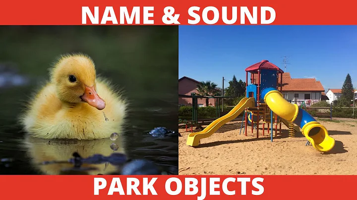 〚 Kids vocabulary 〛Playground - Learn English for kids 『 English educational video 』