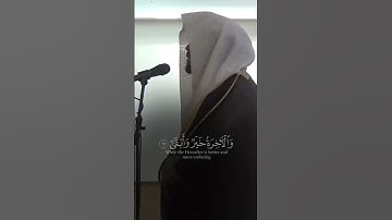 الشيخ ياسر الدوسري تلاوة جميلة #makkah #اكسبلور #yasseraldossary #ياسر_الدوسري #quran #trending #yt