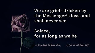 A Poem That Will Make You Cry — Eulogy of Prophet (ﷺ) by Ali Ibn Abi Talib
