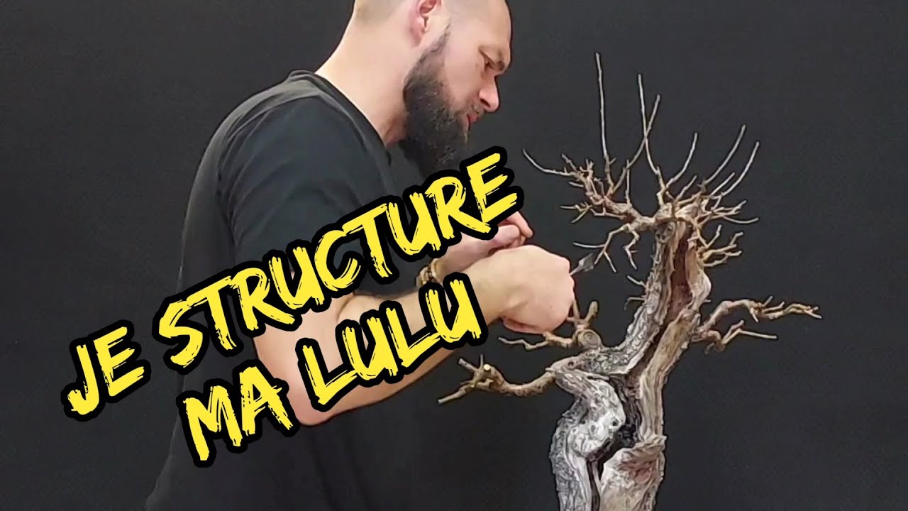 TAILLE DE STRUCTURE BONSAI PRUNUS MAHALEB (YAMADORI CERISIER SAINTE LUCIE) 🌳