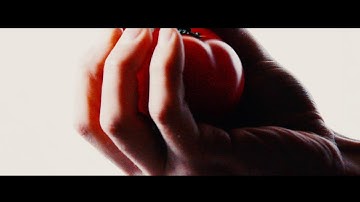 Abnormal Cooking School - Y.P.S [Yellow Power Salute] (Official Video)