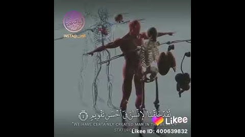 سورة التين والزيتون.