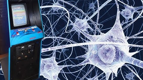 Lab-Grown Brain Cells Play Pong