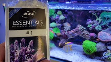 ATI Essentials Review 2017 - Red Sea Reefer