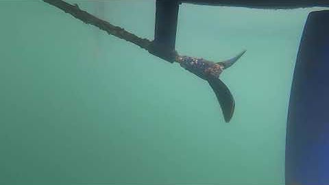 Sailboat folding propeller