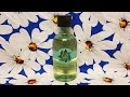 The Body Shop Fuji Green Tea Shower Gel In-Depth Review