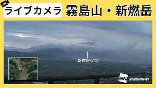 ウェザーニュースの配信のサムネイル画像