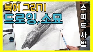 기초소묘 북어 시범드로잉,기초소묘,drawing / 예중예고전문 미도움미술학원