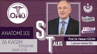Stalks Anatomi101 - Prof.dr. Hasan Ozan