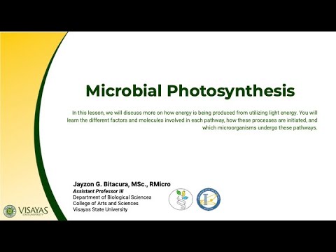 Lesson 4.2: Microbial Photosynthesis