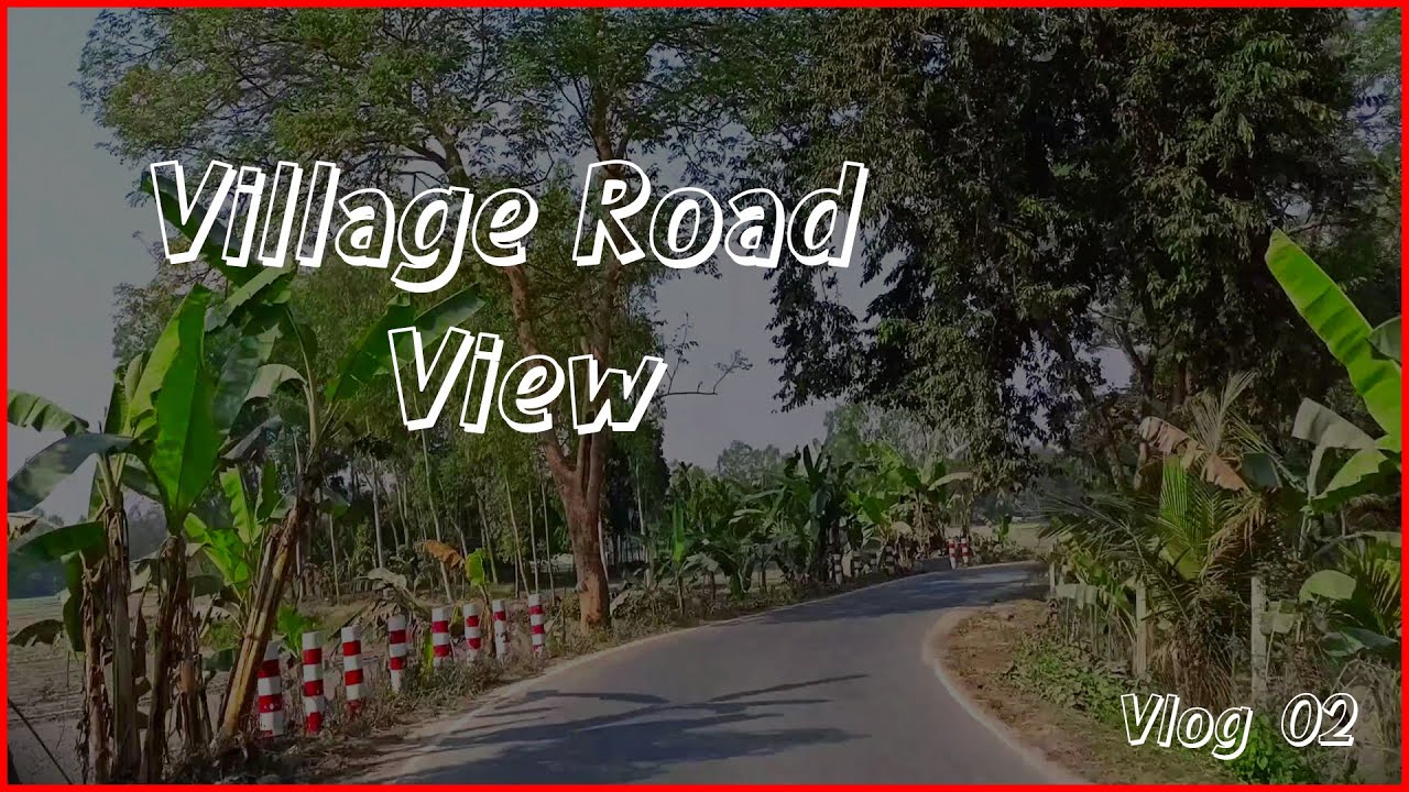 Village Road View | Exploring Nature’s Beauty | LifeLens | First Vlog ...