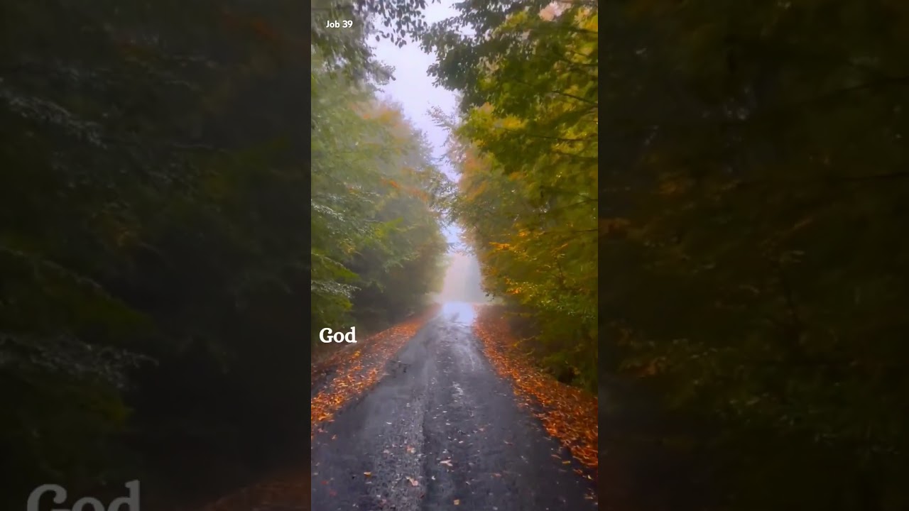 God knows You intimately and cares for You infinitely || Job 39