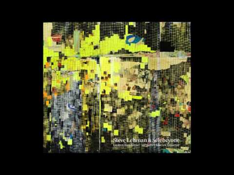 Steve Lehman — Steve Lehman \ Sélébéyone - Are You In Peace
