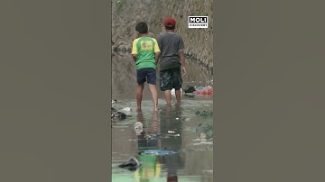 Trái Đất vượt ngưỡng an toàn đối với con người | Moli Discovery #shorts