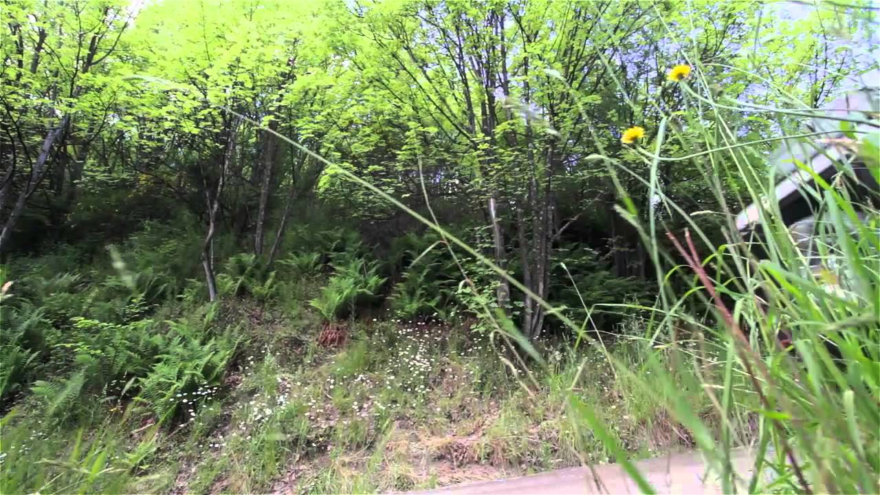 Southern Explorer 4WD Scenic Tours