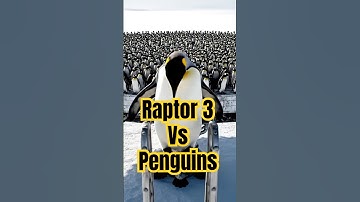 How many Penguins will Raptor 3 lift? 🐧🚀 #starship  #penguin  #raptor
