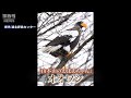 【特集】オオワシの「おばあちゃん」が今年も琵琶湖に来てくれた！なぜ１羽だけ北海道ではなく滋賀へ？（2020年12月16日）