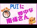 【Nカフェ】PUI PUI 南條さん  ◇文字起こし