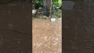 Lwp Day65100 Ghar Me Saanp