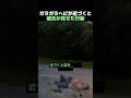 ガラガラヘビが近づくと彼氏が見せた行動