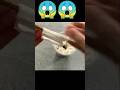 How to grow roj cating form tishu paper #new #garden