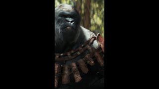 Kingdom Of The Planet Of The Ape อาณาจักรแห่งพิภพวานร | วันนี้ ในโรงภาพยนตร์