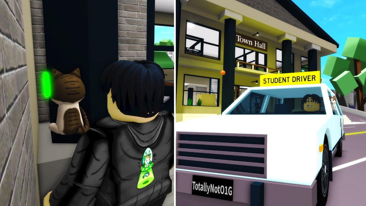 I WENT TO BROOKHAVEN TOWN IN REAL LIFE! Roblox Brookhaven Rp Town Real Life  VS Game 