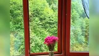 Huzurun Adresi Karadeniz