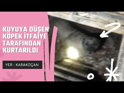 KARAKOÇAN’DA KUYUYA DÜŞEN