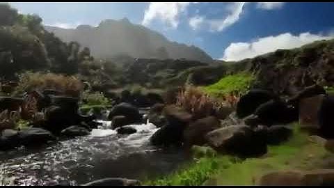 بصوت القارئ عبد الرحمن عصام