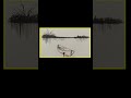 "How to Draw a Boat on Water Step by Step | Easy Drawing for All"