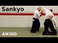 Aikido technique SANKYO on strike and grip attacks, by Stefan Stenudd, 7 dan Ai…