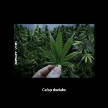 Story wa 30 detik 'GANJA'