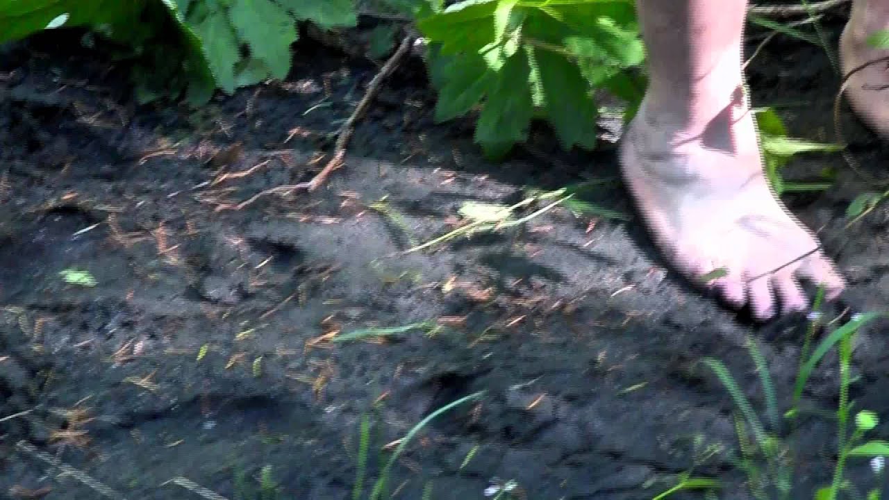 M.K.Davis conducts footprint experiments at Bluff Creek June 10th,2012.mp4