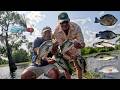 Six Species One KFRED Jig (Crappie ,Bluegill ,Catfish ,Bass ,Goggle-eye and Drum) Catch*Cook
