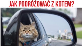 SPOSOBY NA PODRÓŻ Z KOTEM, JAK PODRÓŻOWAĆ Z KOTEM? by Kocie Sprawy 205 views 5 months ago 2 minutes