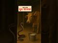 গাভী, সাপ ও দুধ #viralshorts #সাহিত্য_ও_দর্শন #viralvideo #grambangla #cow #milk #snake #গরুপালন