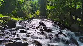 Sonido Relajante De Un Río De Montaña En La Región De Chile Naturaleza Y Sonidos Del Bosque