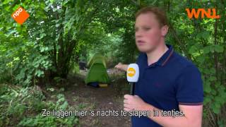 Download Lagu Rovende en bedelende Roma wonen al maanden in bosjes Bijlmer MP3