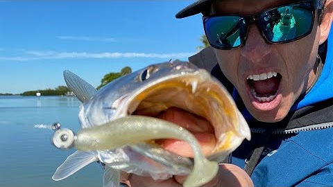 How To Catch Speckled Trout Right After A Cold Front