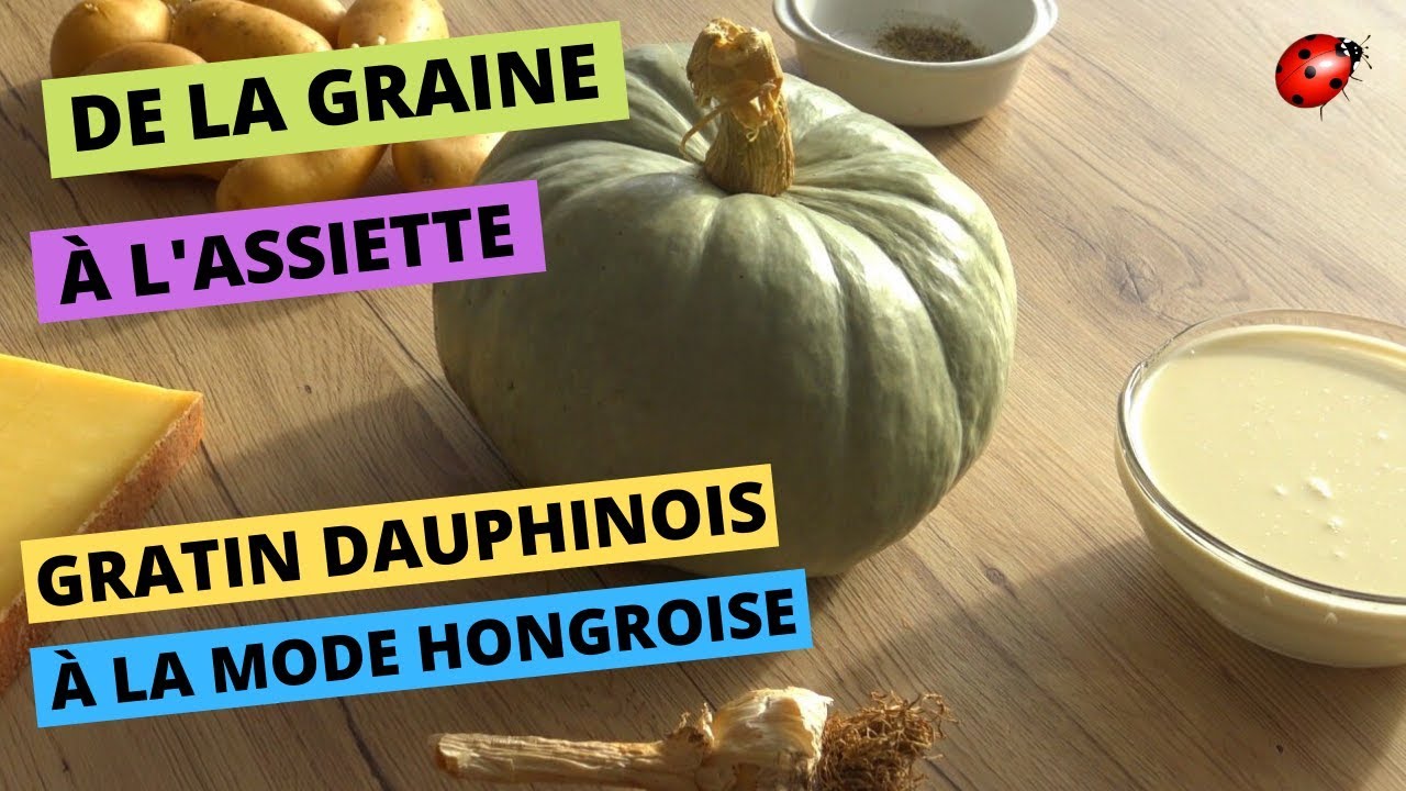 DE LA GRAINE À L'ASSIETTE - Ep01 - D'une graine de potiron de Hongrie à un gratin dauphinois...