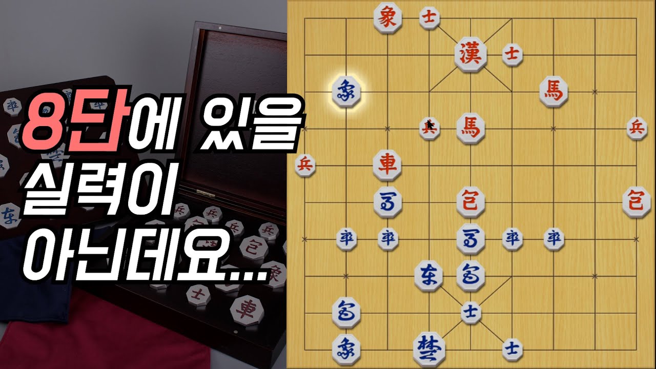 8단에 이런 고수가..?