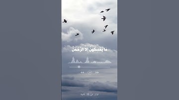 اولم يروا الي الطير فوقهم صافات - مشاري العفاسي - سورة الملك