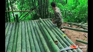 membuat tempat berteduh di hutan
